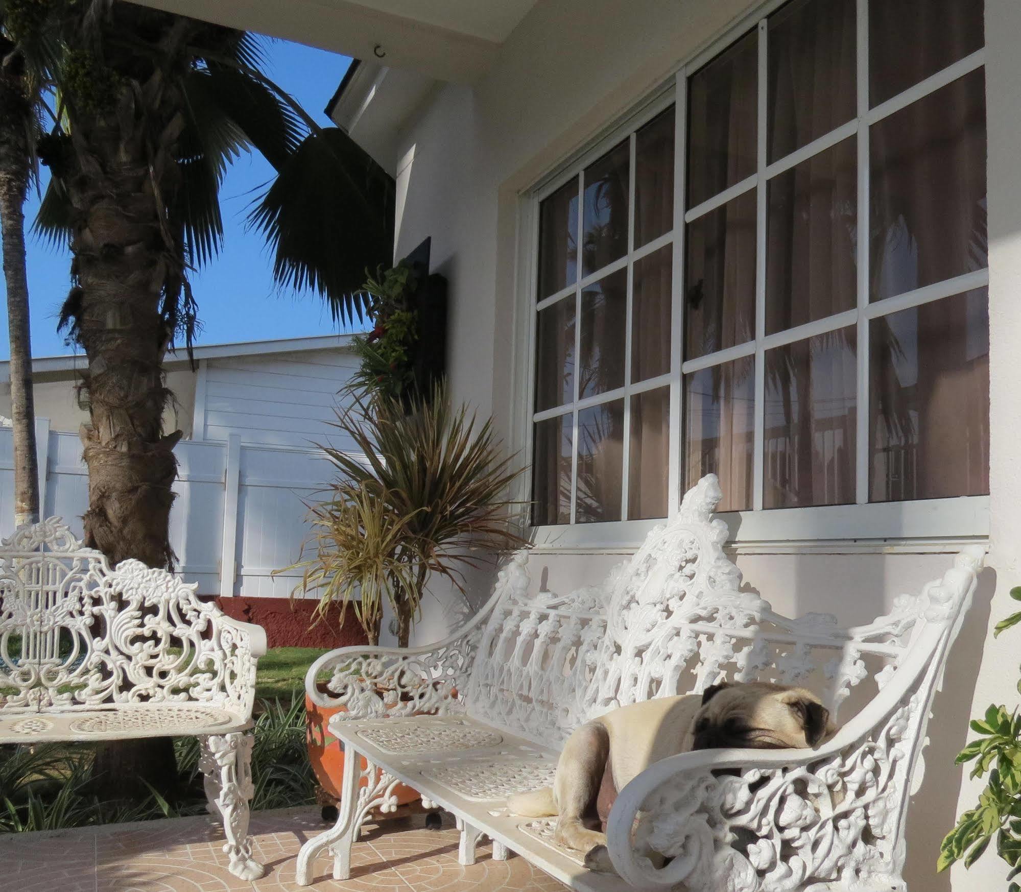 Hostal Mar Y Mar San Andrés Εξωτερικό φωτογραφία